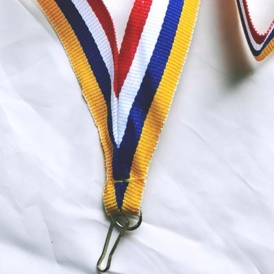 custom lanyard assorted stripes