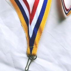 custom lanyard assorted stripes