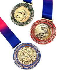 Custom Double-Sided Spinning Medal