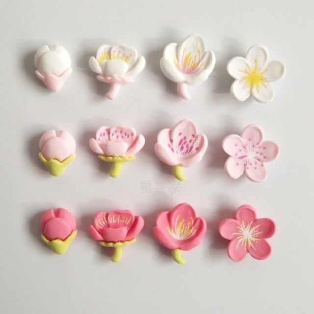 Custom Flower Fridge Magnets