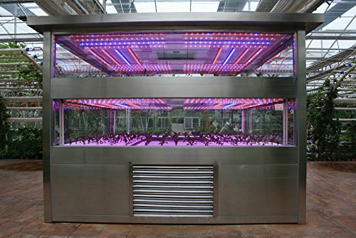 0.6m Waterproof LED Grow Flexible Strip Light Kit with 2A Adapter for Garden Greenhouse Flowering Plant Hydroponics System