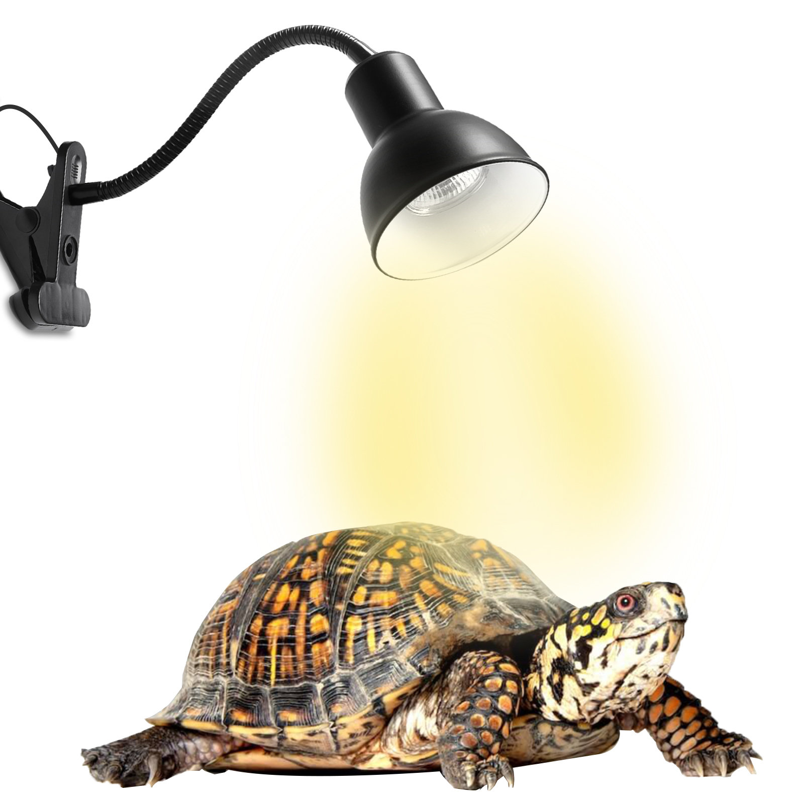 Reptile Heat Lamp with 25W E27 UVA+UVB Basking Light, Heat Spotlight Holder Clamp Lamp Fixture with 360° Rotating Neck & UK Plug(1-pack)