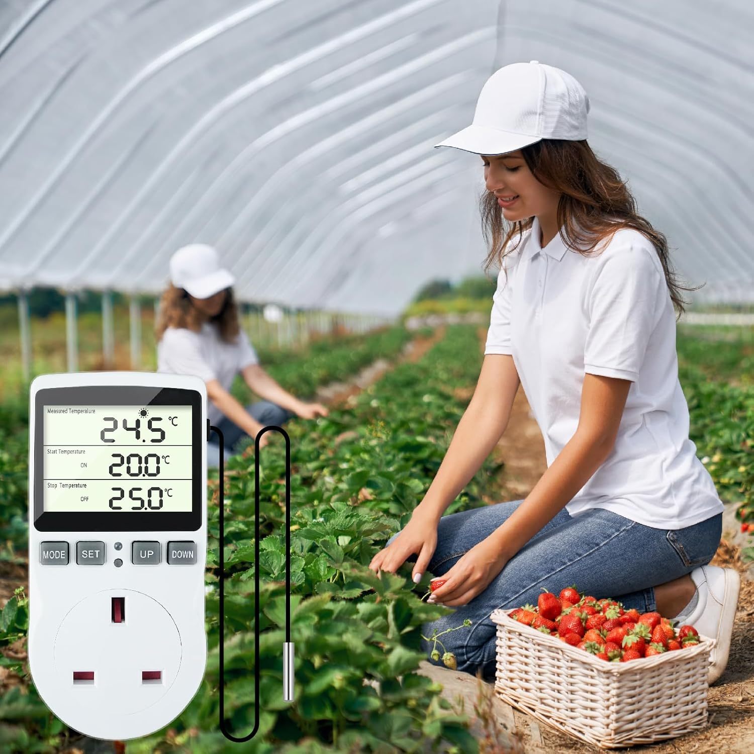 Doright Digital Temperature Controller,LCD Screen Heating Cooling Temperature Switch,Thermostat UK Plug 250V/13A Digital Temperature Controller for Greenhouse Farm Terrarium Reptile
