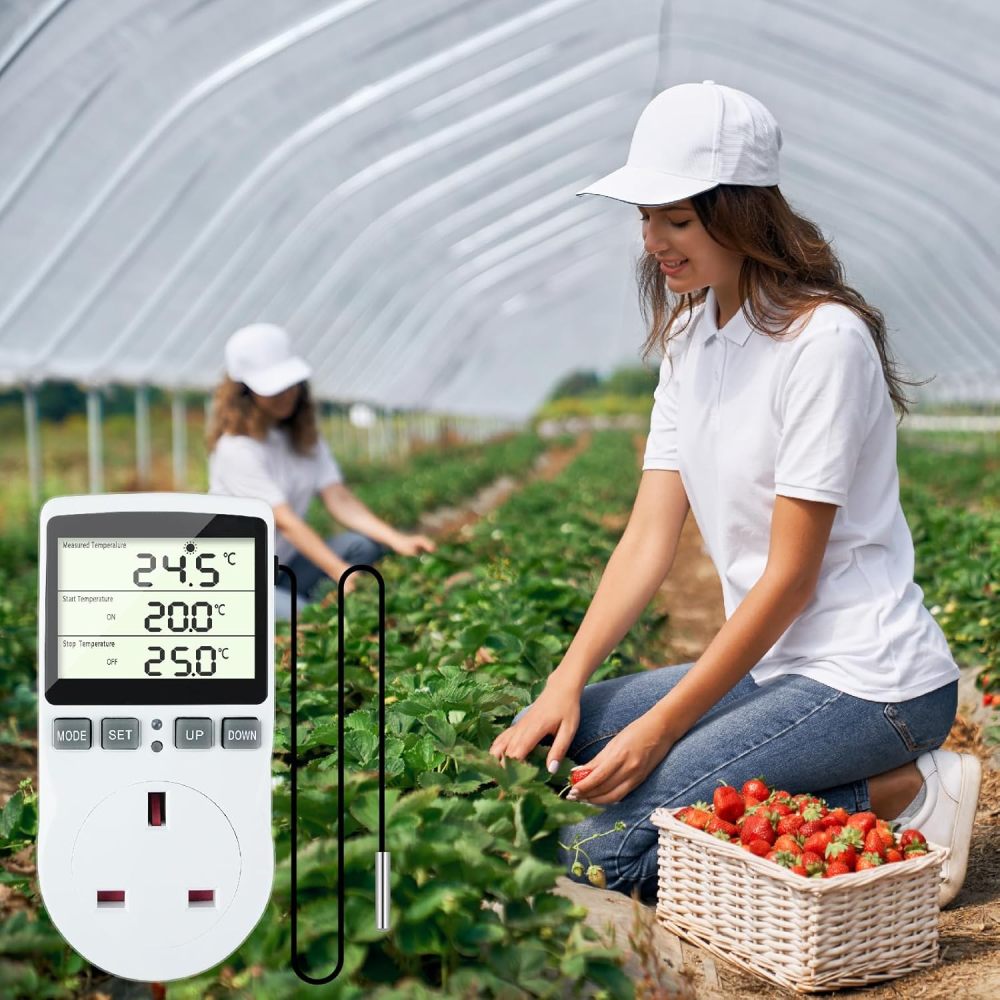 Doright Digital Temperature Controller,LCD Screen Heating Cooling Temperature Switch,Thermostat UK Plug 250V/13A Digital Temperature Controller for Greenhouse Farm Terrarium Reptile