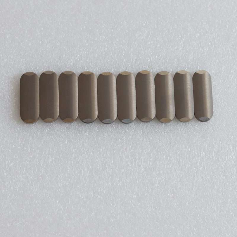 Zhuzhou Century Tool China Manufacturer P10/P20/P30/K10/K20/K30/K40 Tungsten Carbide Carbide Mining Tips