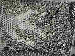 Carbide mining tips/tungsten carbide axe teeth/cemented carbide buttons for coal mining industry China Zhuzhou factory