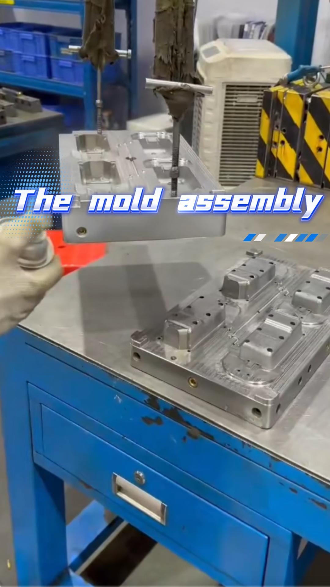 mold assembly 250109
