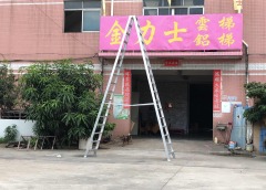 EN131project Bilateral ladder