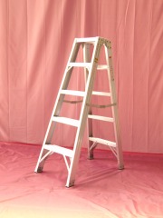 EN131project Bilateral ladder