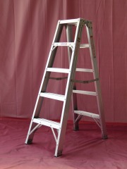 EN131project Bilateral ladder