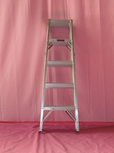 EN131project Bilateral ladder
