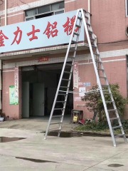 EN131project Bilateral ladder