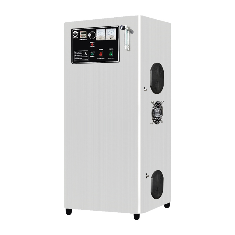 Integrated Mini Ozone Generator