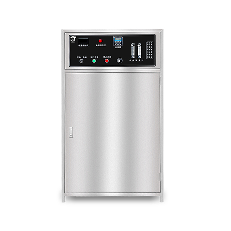 Integrated Mini Ozone Generator