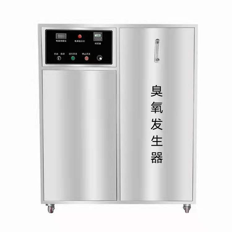 Integrated Mini Ozone Generator