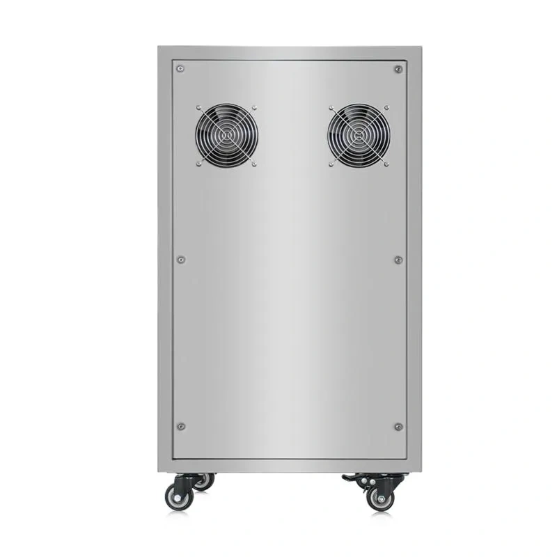 Integrated Mini Ozone Generator