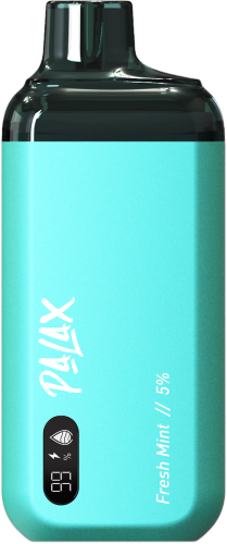 PALAX KC8000 Smart Screen Rechargeable Disposable Device-Fresh Mint