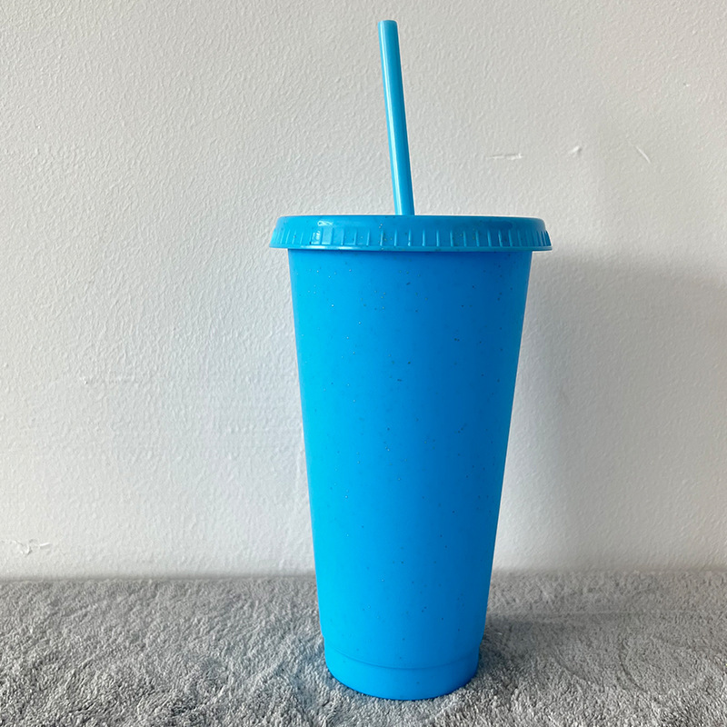 China Glitter Reusable Plastic Cup with Straws and Lids Bulk Color Party Coffee Cup (24oz/17oz)