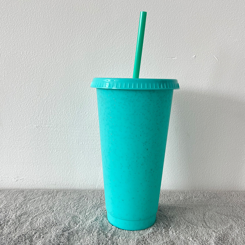 China Glitter Reusable Plastic Cup with Straws and Lids Bulk Color Party Coffee Cup (24oz/17oz)