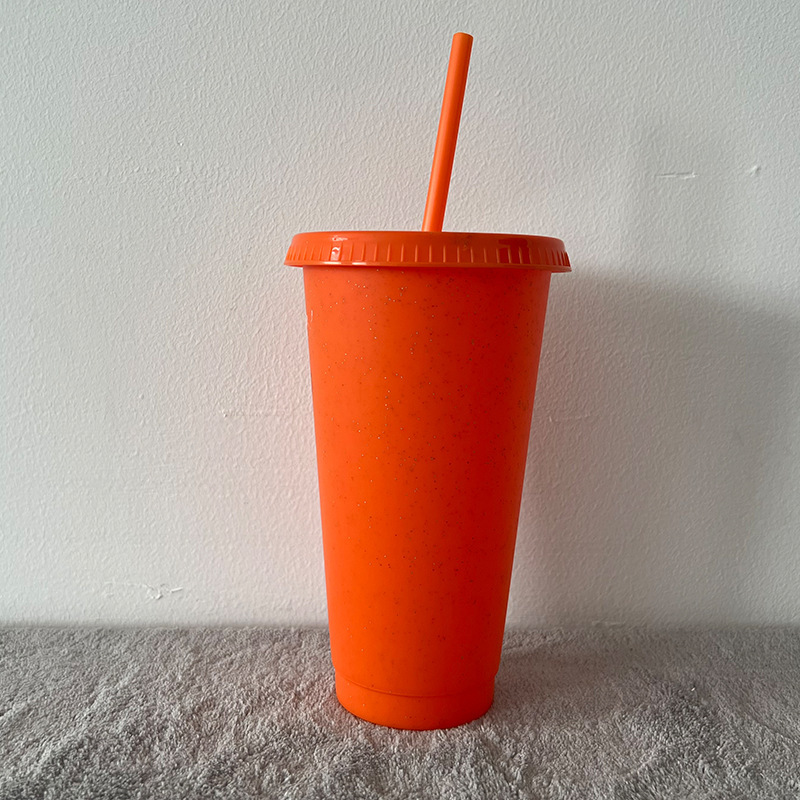 China Glitter Reusable Plastic Cup with Straws and Lids Bulk Color Party Coffee Cup (24oz/17oz)