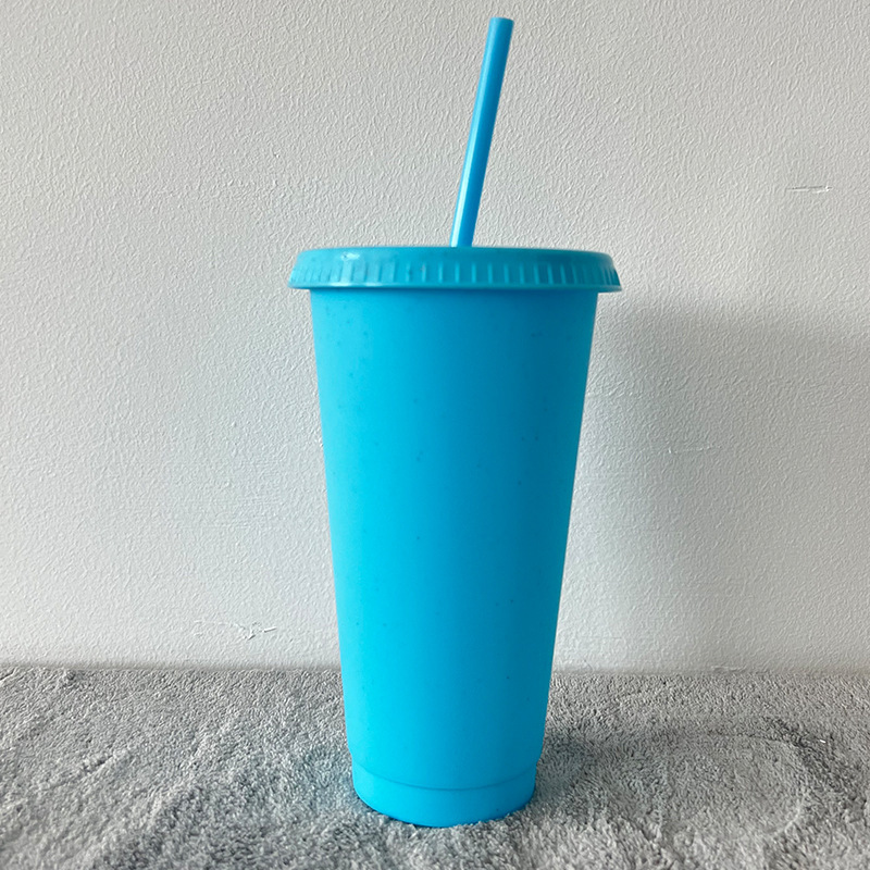 China Glitter Reusable Plastic Cup with Straws and Lids Bulk Color Party Coffee Cup (24oz/17oz)