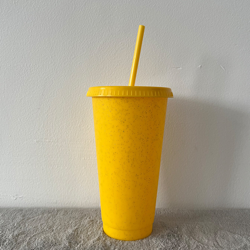 China Glitter Reusable Plastic Cup with Straws and Lids Bulk Color Party Coffee Cup (24oz/17oz)
