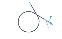 CoralWell Single-use Ureteral Access Sheath