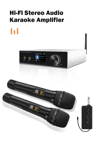 Bluetooth Audio Amplifier