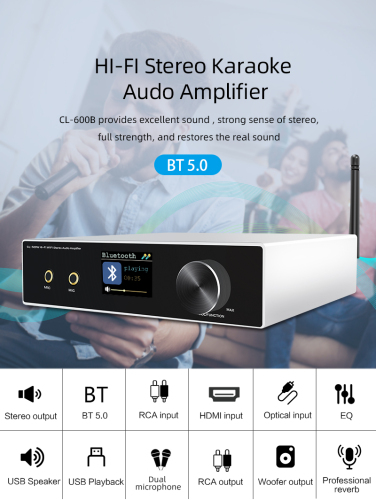 Bluetooth Audio Amplifier