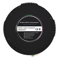 Active Ceiling Speaker