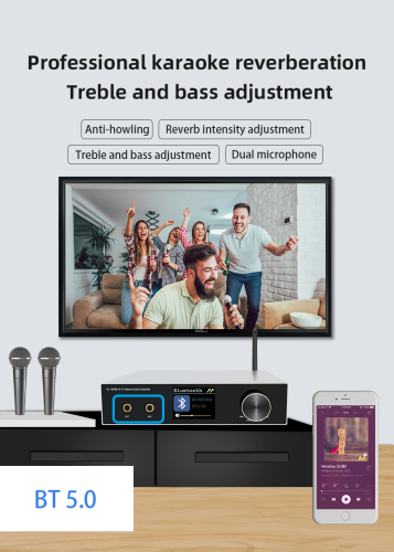 Bluetooth Audio Amplifier