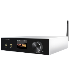 Bluetooth Audio Amplifier