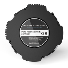 Active Ceiling Speaker