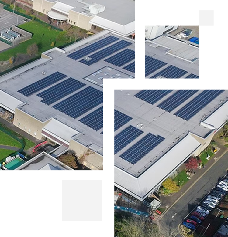 SUSTAINABILITY