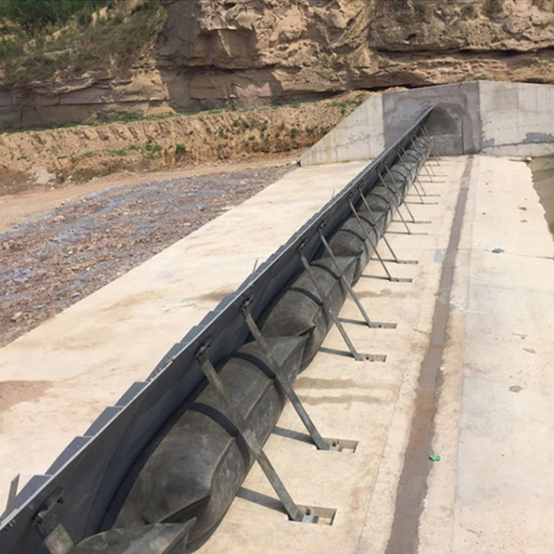 Coussin gonflable en caoutchouc