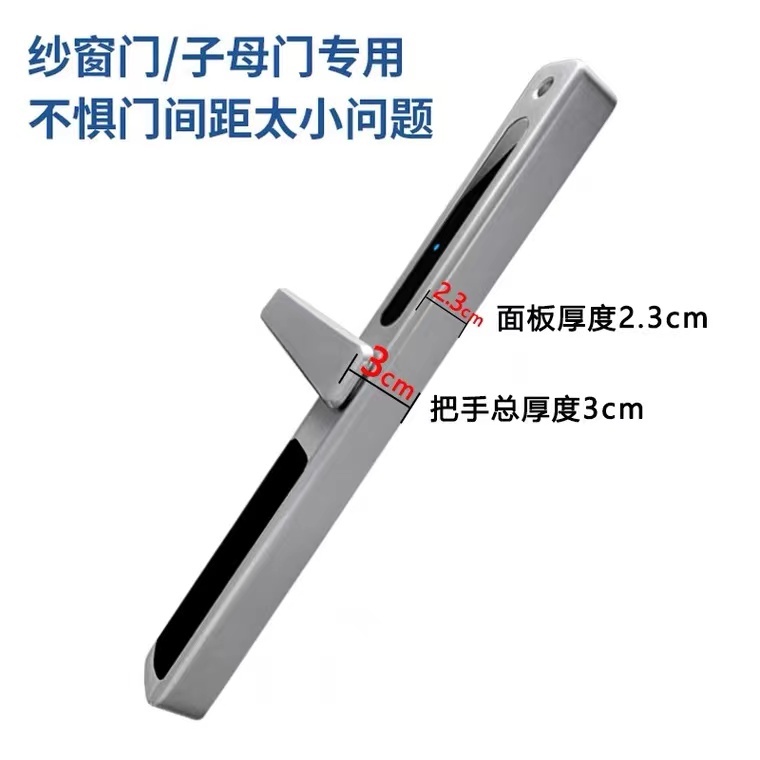 RFTC-D03 单面防水滑盖指纹头断桥铝锁