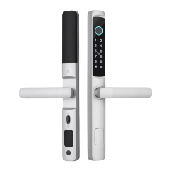 RFTC-D10 防水防动铝合金门断桥铝门