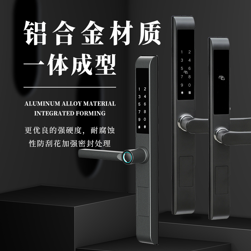 RFTC-D11 双面防水户外庭院门断桥铝锁