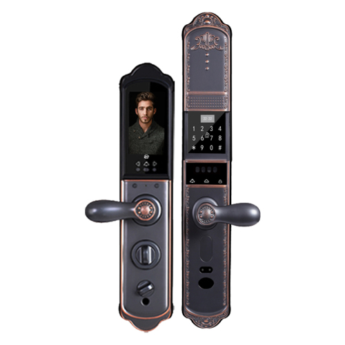 RFTC-9L5-R 全自动滑盖人脸识别锁