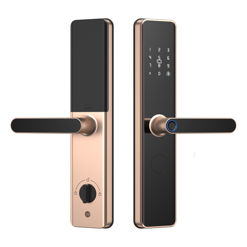 4G无线联网门锁