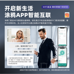 RFTC-木门涂鸦WiFi远程开锁外贸出口室内锁半自动指纹智能锁