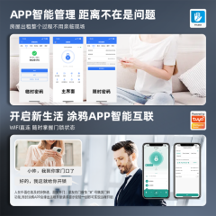 RFTC-涂鸦WiFi远程开锁外贸出口半自动指纹智能木门锁 办公室门锁