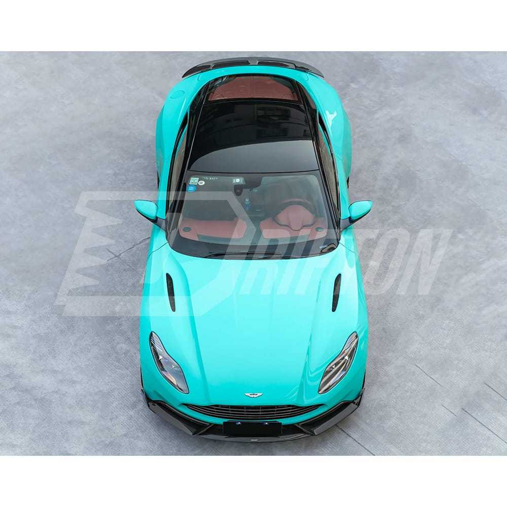 CMST Style Dry Carbon Fiber Rear Spoiler For Aston Martin DB11 2017-2022