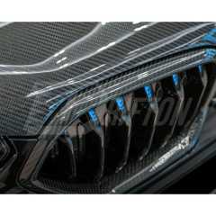 Single Slat Style Dry Carbon Fiber Front Bumper Grille For BMW F96 X6M 2019-2023