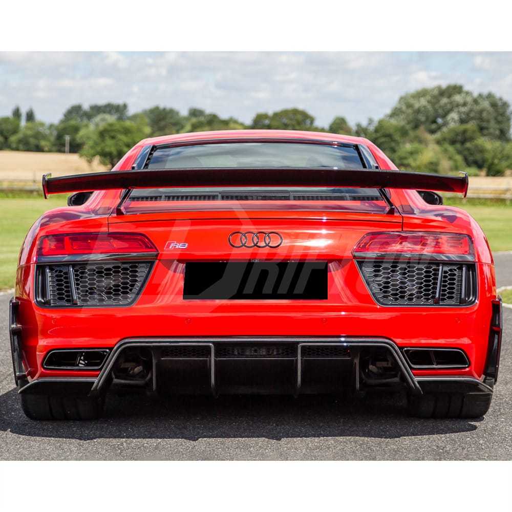 Performance Style Dry Carbon Fiber Rear Diffuser For Audi R8 2016-2019