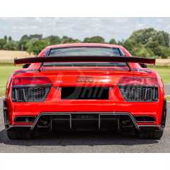Performance Style Dry Carbon Fiber Rear Diffuser For Audi R8 2016-2019