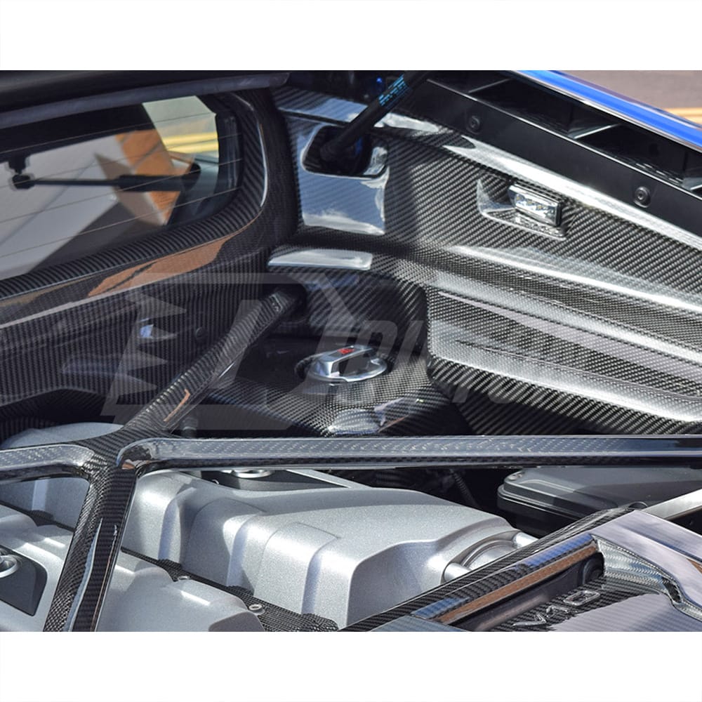 Dry Carbon Fiber Replacement Engine Bay Water Tank Cover For Audi R8 2016-2024 (4)