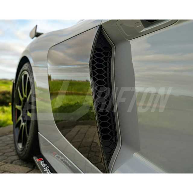 Dry Carbon Fiber Side Blade For Audi R8 2016-2024