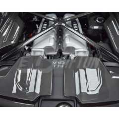 Dry Carbon Fiber Replacement Engine Cover Pair For Audi R8 2020-2024