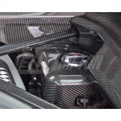 Dry Carbon Fiber Replacement Engine Bay Water Tank Cover For Audi R8 2016-2024